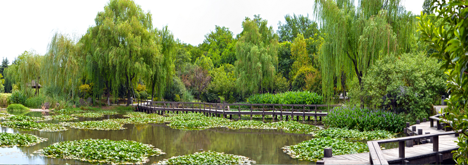 url(http://www.rcfu.cn/theme/TP000163/pic/banner4.jpg)